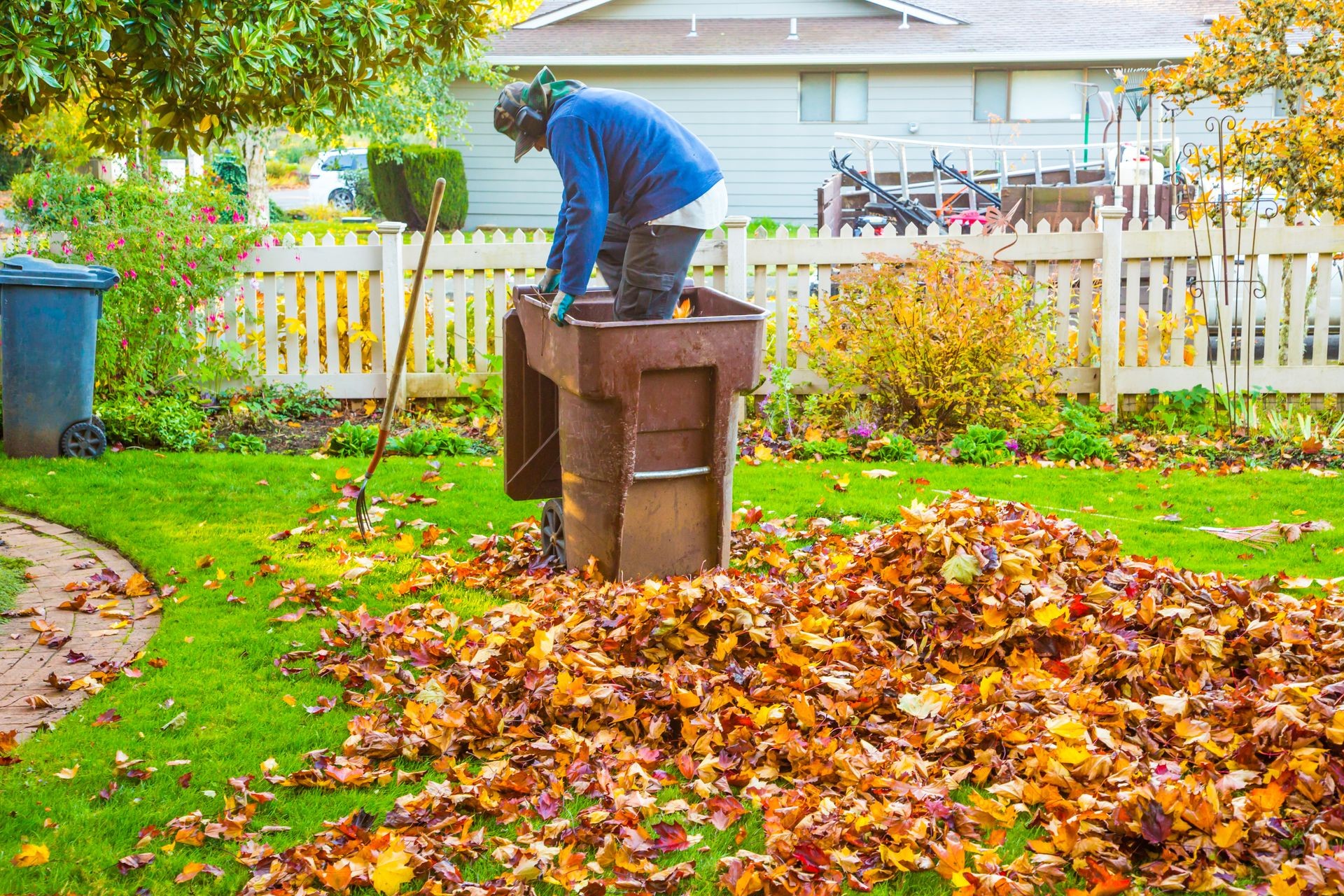 Man loading maple tree leaves in container to be transported to composting site