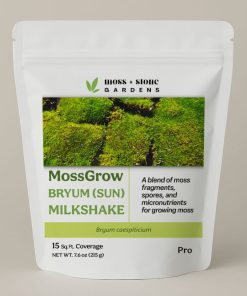 Bryum (Sun) Moss Milkshake | For Growing Bryum caespiticium