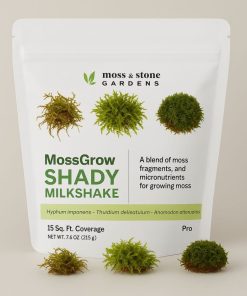 Shady Moss Milkshake | Sheet, Fern & Tree Apron Blend