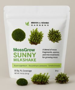 Sunny Moss Milkshake | Bryum, Racomitrium & Tortella Blend