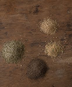 Custom Eco-Lawn Blend eco-lawn seed — the lawn established in a real garden