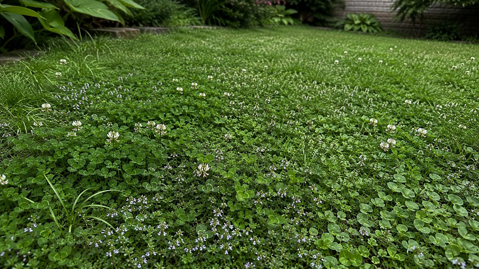Illustration of find verified installers & suppliers professionals at work installing and maintaining eco-friendly ground-cover lawns