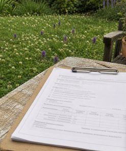 HOA Eco-Lawn Approval Kit eco-lawn seed — the lawn established in a real garden