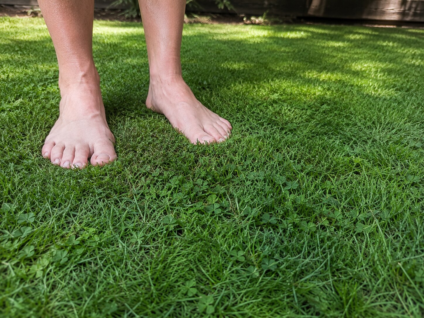 Bare feet on a mowed micro clover and fescue lawn